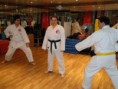/album/galeria-de-fotos-bushido-dojo-ckc/a112-30609-120950171256862-100000256387076-233691-4231101-n-jpg1/