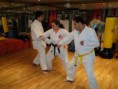 /album/galeria-de-fotos-bushido-dojo-ckc/a115-30609-120950181256861-100000256387076-233694-3647112-n-jpg1/