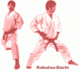 /album/galeria-de-fotos-tecnicas/a117-kz-kokutsudachi-gif/